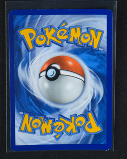 Greninja Star Holo Promo #SWSH144 SWSH: Sword & Shield Promo Cards 2019 NM - Image 2