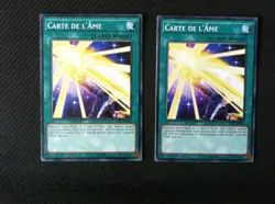 Yu-Gi-Oh LOT DE 2 carte de l'ame TDIL FR068 -VF/COMMUNE - Image 1