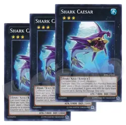 Yugioh - Shark Caesar x 3 - LP - Plus Free Holographic Card - Image 1