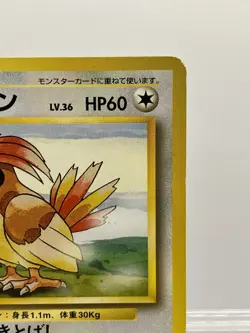 No Rarity! Pidgeotto No.017 1996 Base Set 1st Edition Japanese Pokemon Card LP - Image 5