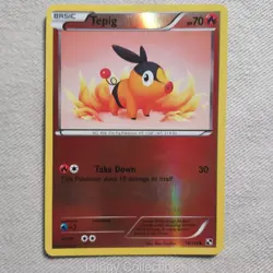 Pokemon Black & White 16/114 Tepig - Reverse Holo Common - Moderately Played - Image 1