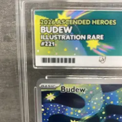 ACE 10 Pokemon TCG Budew IR Ascended Heroes #221 - Image 3