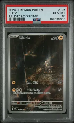 PSA 10 Blitzle 195/182 Pokemon Sv04: Paradox Rift Illustration Rare - Image 1