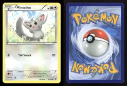 Minccino 87/124 Fates Collide LP Pokemon - Image 3