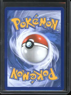 Cyndaquil Pokemon Card (First Partner Series 2 Promo 047) - Image 2
