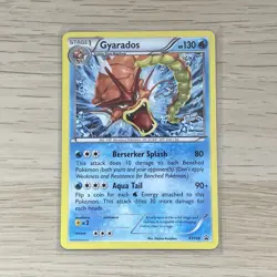 Gyarados XY109 Black Star Promo Pokemon Card Shiny Holo LP - Image 1