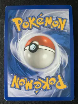 Buizel DP13 Pokemon Black Star Promo Holo Rare Card 2007 LP - Image 4