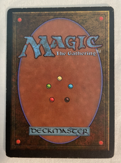 1x Whirling Dervish Legends MTG Magic the Gathering MP - Image 2