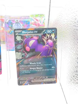 Pokemon TCG Pitch Black ex Card Lot (8 Cards) - In Hand Fresh Pack Pull NM Eng - Image 4