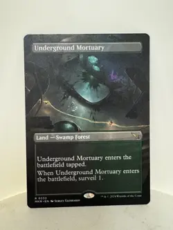 Underground Mortuary Borderless Regular 0333 Rare Land Black/Green MKM EN - Image 1
