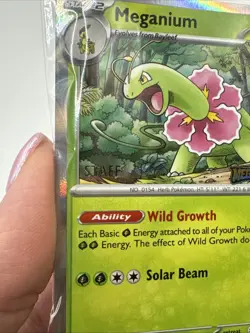 Sealed STAFF Mega Evolution Promo Prerelease Pack 4 Pokemon Meganium - Image 3