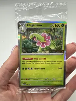 Sealed STAFF Mega Evolution Promo Prerelease Pack 4 Pokemon Meganium - Image 4