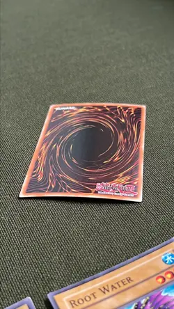 Divine Dragon Ragnarok FET-EN002 1st Edition YuGiOh Card - Image 4