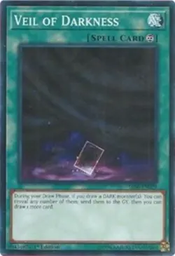 Veil of Darkness - SR06-EN029 - Common - 1st Edition - Lightly Played - Image 1