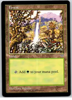 Forest (B) - Basic Land 1996 Mirage Magic The Gathering MTG Heavily Played - Image 1