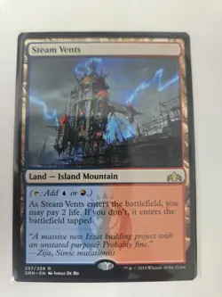 Magic The Gathering land lot - Image 4