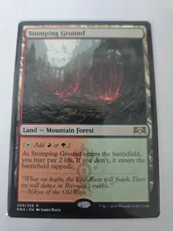 Magic The Gathering land lot - Image 5