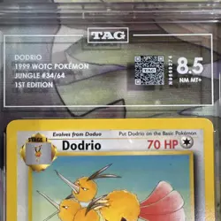 Pokemon TCG Dodrio 34/64 Jungle 1st Edition Regular 1999 WOTC TAG 8.5 - Image 3