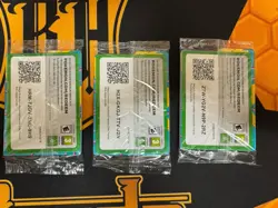 Pokemon TCG Ascended Heroes N's Zekrom 031 ETB PROMO -SEALED! LOT OF 3 - Image 2