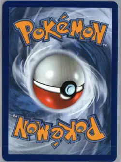 Litten 044 Holo Promo ME: Mega Evolution Promo Pokemon Near Mint - Image 2