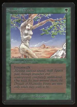 1993 MTG Magic the Gathering Beta Shanodin Dryads NM Raw Gaming Card TCG - Image 1