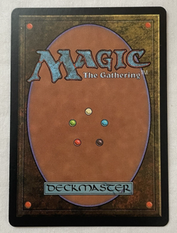 1x Salt Flats - Tempest - MTG - Magic the Gathering - NM - Image 2