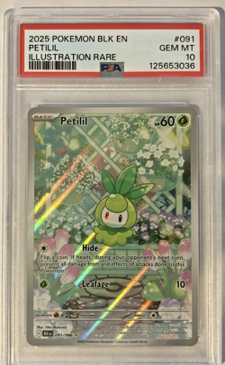 2025 POKEMON BLK EN-BLACK BOLT ILLUSTRATION RARE #091 PETILIL PSA 10 - Image 1