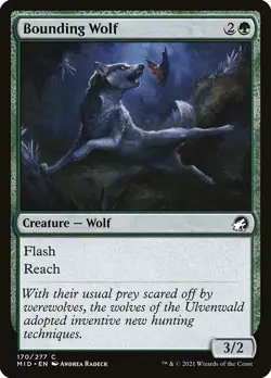 BOUNDING WOLF FOIL (4x) Playset – Innistrad MID MTG Magic the Gathering - Image 1