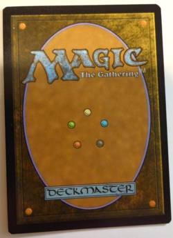 MTG- Slogurk, the Overslime - FOIL SHOWCASE NM Eng MTG - Midnight Hunt - Image 2