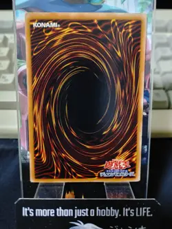 Neo-Spacian Aqua Dolphin Yu-Gi-Oh POTD-JP003 Super Rare Yugioh OCG Japan - Image 3