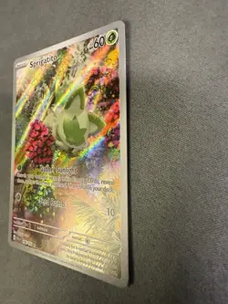 Sprigatito 196/193 ILLUSTRATION RARE Paldea Evolved HOLO NM Pokemon Card - Image 3