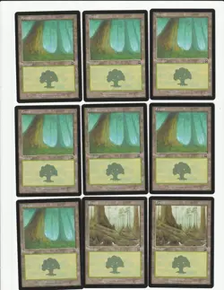 Lot of 50 Magic the Gathering MERCADIAN MASQUES Forest Basic Lands - Image 2