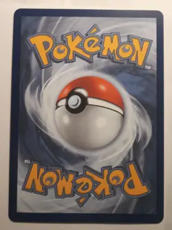 Chimchar 041 Holo Promo ME: Mega Evolution Promo Pokemon NEAR MINT - Image 2