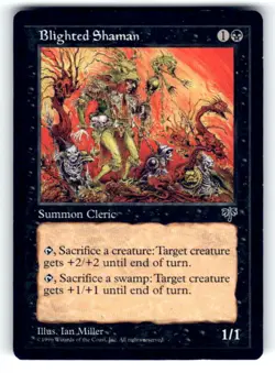 Mirage Blighted Shaman - Image 1