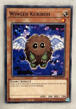Yugioh Winged Kuriboh LED6-EN017 1st Edition Mint Card - Image 1
