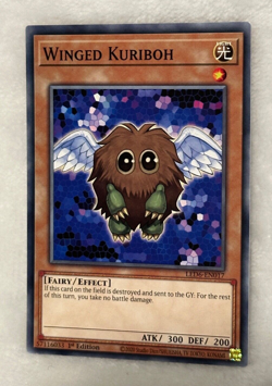 Yugioh Winged Kuriboh LED6-EN017 1st Edition Mint Card - Image 3