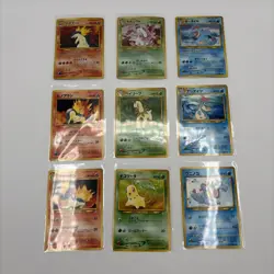 Meganium Typhlosion Feraligatr Neo Premium File 1 Complete Pokemon Card Japanese - Image 1