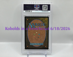 Final Fantasy MTG Balthier and Fran Borderless Surge Foil #538 PSA 10 - Image 2