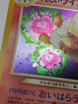 Light Arcanine Holo No.059 Neo 4 Destiny - Japanese Pokemon Card - 2001 #337_04 - Image 3