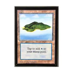 WOTC MtG International Ed. Island (B) (L) NM - Image 1