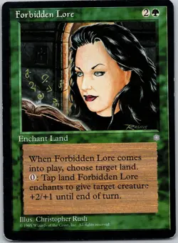 Magic the Gathering Forbidden Lore Ice Age MTG Free Shipping! - Image 1
