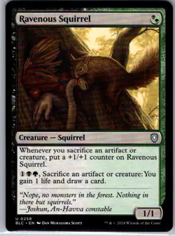 Ravenous Squirrel - 258 - Commander: Bloomburrow - MTG - NM - B2G1 - Image 1