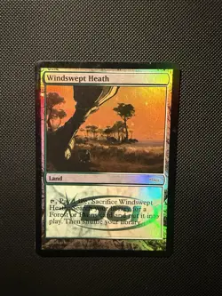 MTG Windswept Heath 2009 Judge Promo FOIL Fetch Land Modern Commander - Fabuen - Image 1