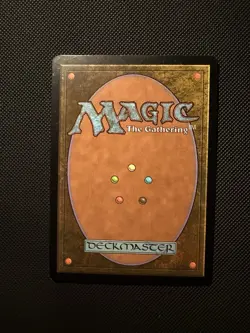 MTG Windswept Heath 2009 Judge Promo FOIL Fetch Land Modern Commander - Fabuen - Image 2