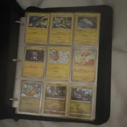 Pokemon TCG Sword & Shield Mixed Binder Lot w/ Pages, Holo/Regular, English - Image 2