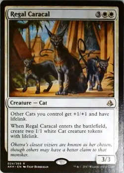 Magic | Amonkhet | Regal Caracal | 24 | NM - Image 1