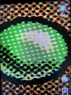 Lotus Field (0023) (Borderless) - Near Mint MTG Stellar Sights - Image 3