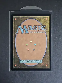 MTG Chaos Warp (Borderless Foil) R 2692 Secret Lair: Cats of Chaos - Image 2