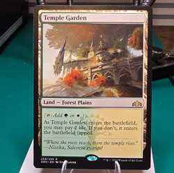 Wizards of the Coast Temple Garden Guilds of Ravnica Regular Rare Land 258/259 - Image 1