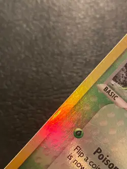 Pokemon TCG - Treecko 75/109 EX Ruby & Sapphire (2003) Vintage Reverse Holo - MP - Image 4